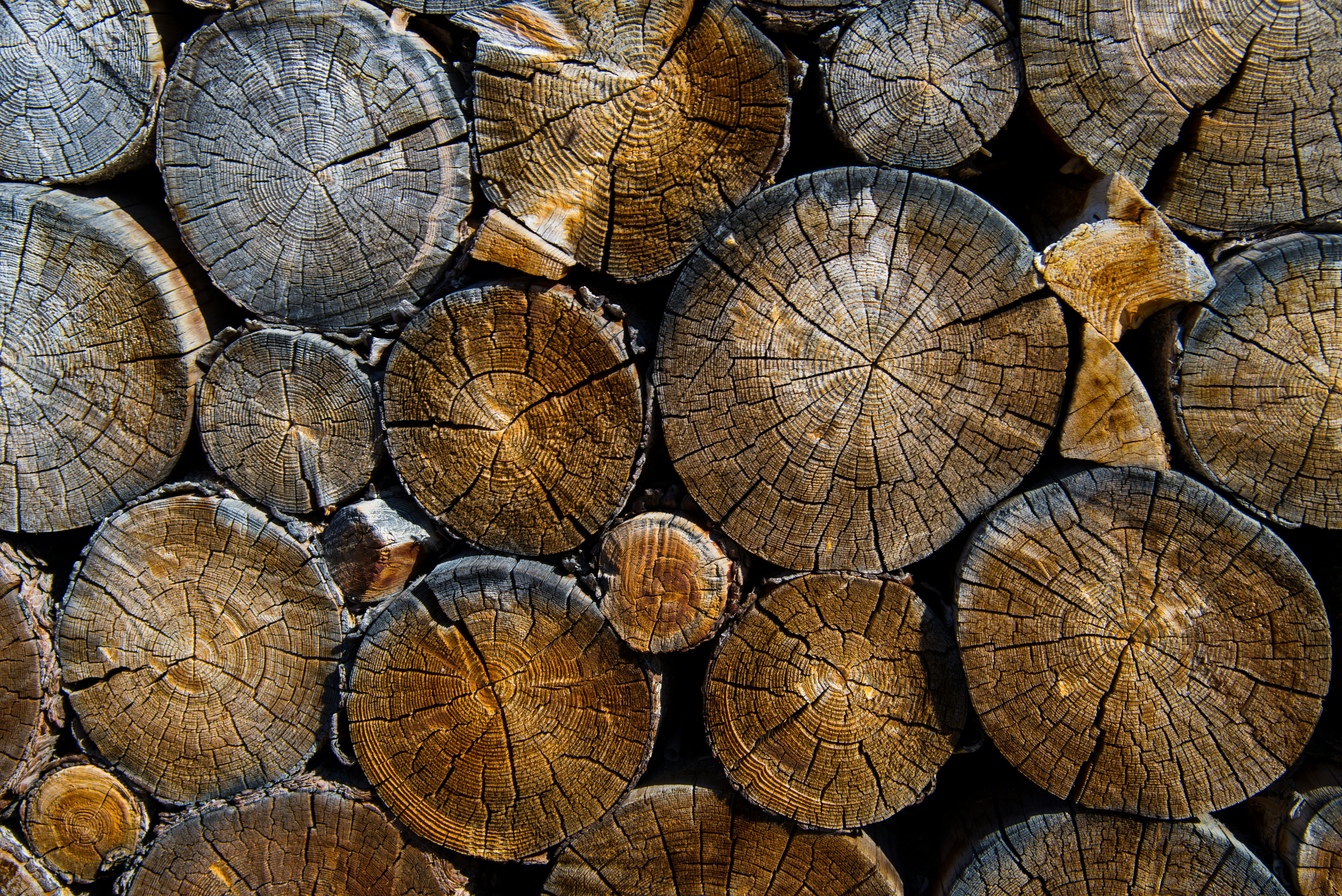 photography of pile of woods